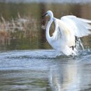 한라청과 이미지