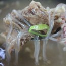 마리갈비탕 이미지