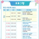 제7회 하동북천코스모스메밀꽃축제 | 제19회 하동 북천 코스모스·메밀꽃 축제