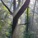 그곳에 가면 펜션 이미지