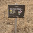 평택시 배다리저수지2 | 평택 배다리 저수지(2026. 2. 26)