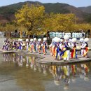 축제)] 샛노란 봄 풍경을 만나다, 전남 구례산수유꽃축제 이미지