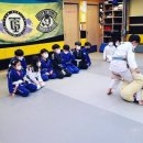 용인대 특전 합기도 이미지