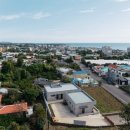 자파리203 이미지