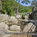 강릉성산 공인중개사사무소 이미지