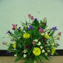 밀드플레 이미지