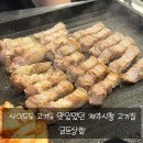 하신상회 | [제주맛집] 사이드도 고기도 맛있었던 제주 시청 고기 맛집 금돈상회 솔직후기!