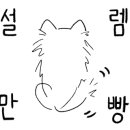 대구쌀상회 이미지