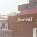 소렐(Sorrel) 이미지