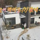 하우스앤엘이디