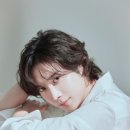 유한회사유니버스 YTN