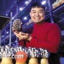 노다지농장 이미지