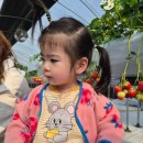 천구농장 이미지