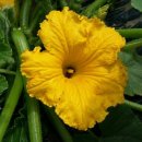 골말농장 이미지