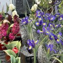 헬로우마켓 | 고양 헬로우가든마켓 방문 후기 🌿