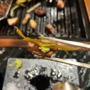 마장동김씨 화명점 이미지