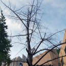 시립가곡어린이집 이미지