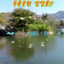 두류공원 이미지