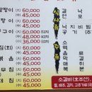 목포낙지 네이버블로그