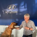 현대자동차 대리점 앞 이미지