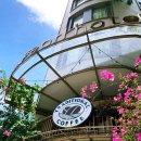 다나 호텔 | 다낭 한시장 근처 0.5박 호텔 가성비 다나 펄 호텔 대실 후기