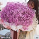 꽃뜰 - 12835 | 꽃뜰 안개꽃 대형꽃다발 생일 프로포즈 이벤트 선물 후기 💐