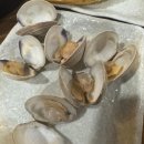골드쓰리엠 | N번째 재방문 가정동 루원시티 참치 맛집 도담참치&스시 솔직 리뷰