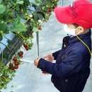 행복한 농장 이미지