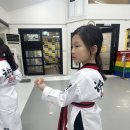 계명대태양태권도 이미지