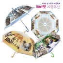 쁘띠펫 이미지