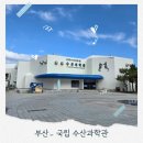 과학관매점 | 기장국립수산과학관 아쿠아리움 맛집 주차 매점 후기
