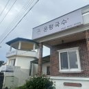 온평국수 | 성산 온평리 칼국수,수제비 맛집 ㅣ온평국수ㅣ
