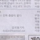 털털 이미지