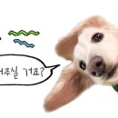 김삿갓면-33 이미지