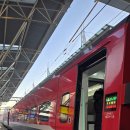 고궁파크 | 국립고궁박물관 고킨와카슈 천년을 흘러온 시간