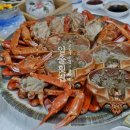 홍개 | 속초홍게 맛집 푸짐한 상차림 일출횟집 후기