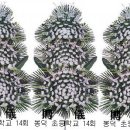 봉암동011 이미지