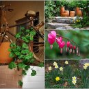 이원농업협동조합 이미지