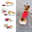 예쁜멍멍이 이미지