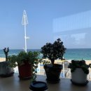 GS25 안목해맞이점 이미지