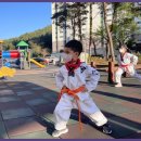 거제소나무향기태권도장