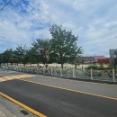 홍성초등학교 후문 이미지