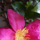 존재의 사랑 이미지