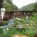 자유농장 이미지