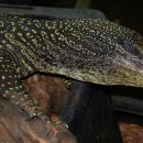 뉴그린농장 이미지