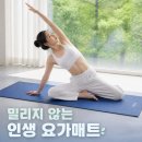 태그홈트 | 밀리지 않는 인생 홈트 장비 비슈누 요가매트 6mm 고밀도 PER 소재 추천하는 이유