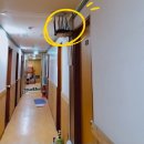 [아주대 고시원 리뷰] 수원 아주대 예일고시원 후기