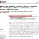 청라공감동물병원 이미지