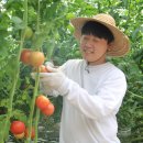 민정욱농장 이미지