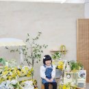 아이베리사진관 이미지